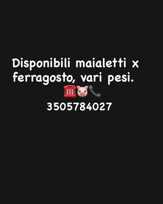 Maialetti