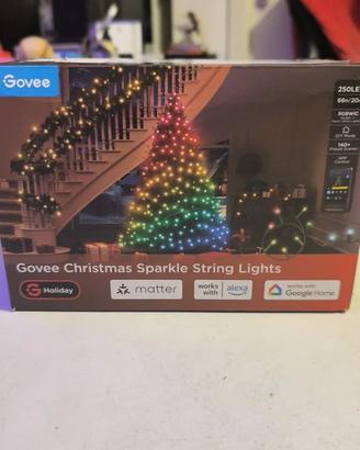 Luci di Natale Smart Govee Sparkle String Lights20