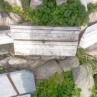 Cornici in marmo bianco antico 