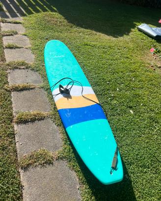 Tavola surf zeus 9