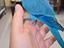 Immagine 1