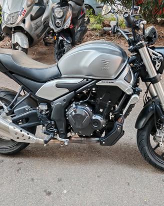 Voge Trofeo 500 AC - 2022