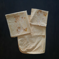 Lenzuola letto singolo Pincipesse