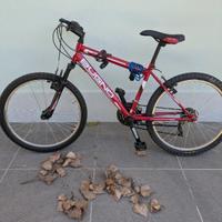 Mountain bike bambino 10 anni