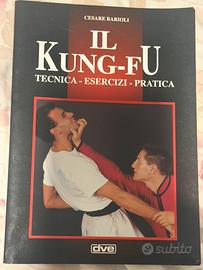 Il Kung fu - tecnica esercizi pratica