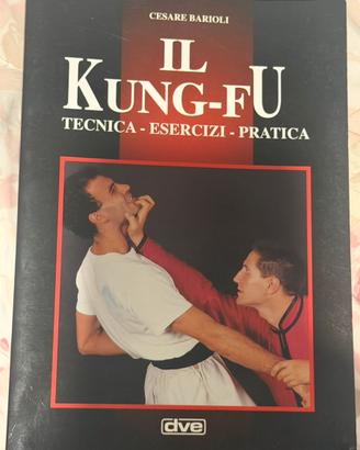 Il Kung fu - tecnica esercizi pratica