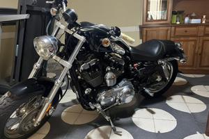 HARLEY DAVIDSON 1200 DA VETRINA