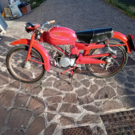 Guzzi cardellino