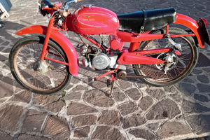 Guzzi cardellino
