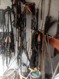 Stock di finimenti per asini, muli e cavalli