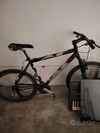 bicicletta