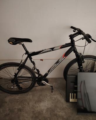 bicicletta