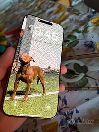 Iphone 17 pro max 256GB