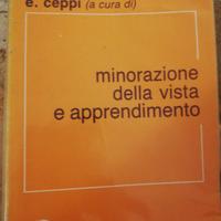 Minorazione della vista e apprendimento 