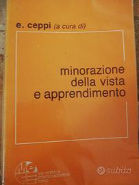 Minorazione della vista e apprendimento 