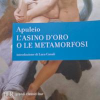 L'asino d'oro o le metamorfosi di Apuleio