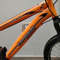 Bicicletta Lombardo 20