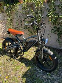 Bicicletta elettrica