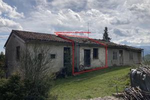 RGE 42/2024 - Tribunale di Urbino - Lotto 1