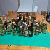 54 mignon da collezione 