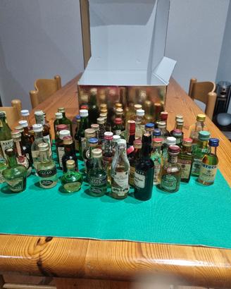 54 mignon da collezione 