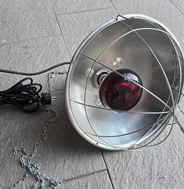 lampada riscaldante
