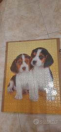 puzzle  cani