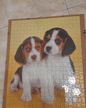 puzzle  cani