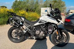 TRIUMPH TIGER 900 GT PRO
