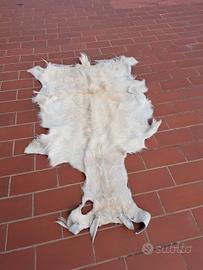 tappeto pelle di capra