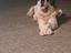 Immagine 4