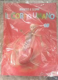 Ii corpo umano RBA Fascicolo 15 + Modellino