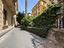 Immagine 14