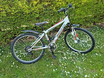 Bicicletta MTB e accessori - Ruote 24 pollici