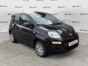 fiat-panda-1-0-firefly-70cv-s-s-hybrid