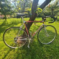 Bici da corsa Moser Alan Record