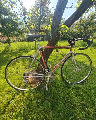 Bici da corsa Moser Alan Record