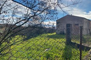 Terreno edificabile di circa 10.000 m²