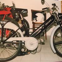 Ciclomotore Ceccato rullo