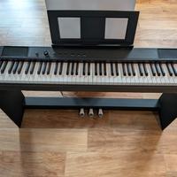 Echord DP1 Pianoforte 88 tasti