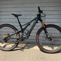 S-Works Turbo Levo SL "S2"