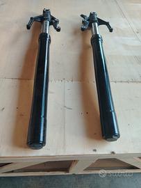 forcella triumph trident 660