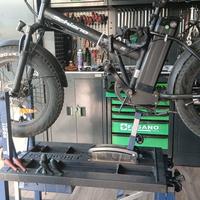 bici elettrica