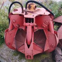 Pinza a polipo a 6 denti