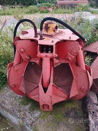 Pinza a polipo a 6 denti