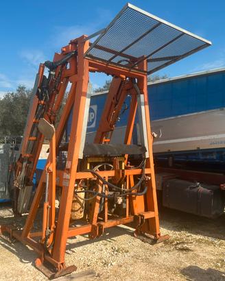 Cestello Bielevatore D'amico S1