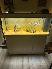 Acquario Juwel 240lt