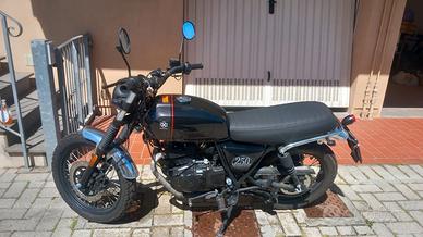 BRIXTON CROMWELL 250