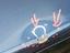 Immagine 11