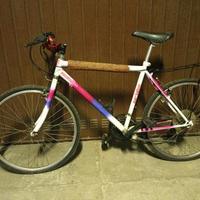 Bicicletta mountain bike